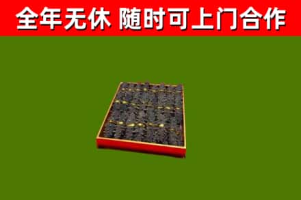 栖霞市回收海参